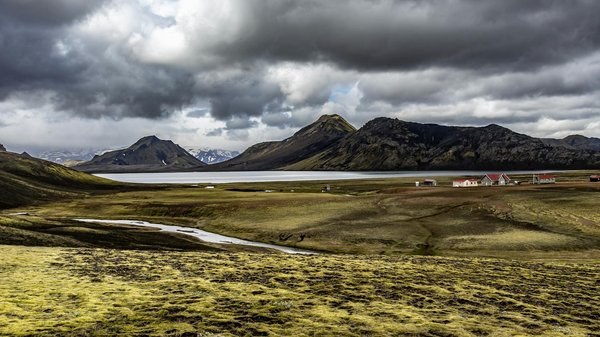 Stratégies pour renforcer la santé mentale au travail