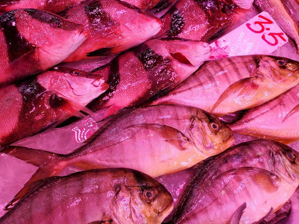 Prise en charge de la santé bucco-dentaire dans le bilan de santé des séniors