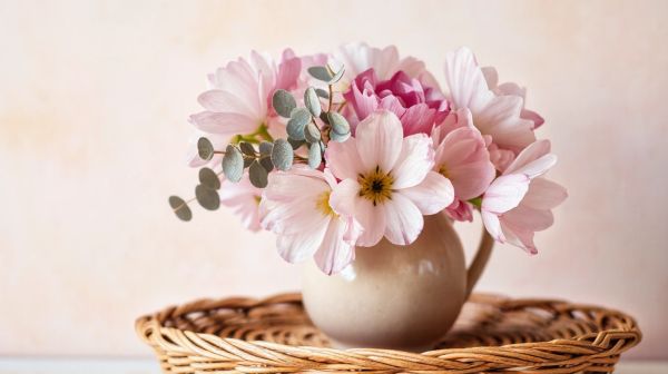 Découvrez des fleurs CBD bio de qualité à petits prix